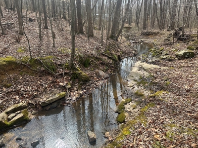 White Oak Mountain Oasis: 35 Acres of Boundless Privacy - image 6