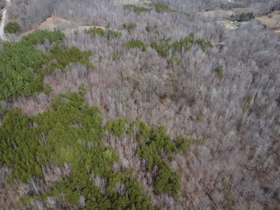 White Oak Mountain Oasis: 35 Acres of Boundless Privacy - image 41