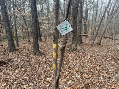White Oak Mountain Oasis: 35 Acres of Boundless Privacy - image 27
