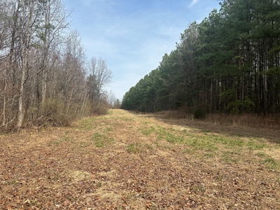 White Oak Mountain Oasis: 35 Acres of Boundless Privacy - image 30
