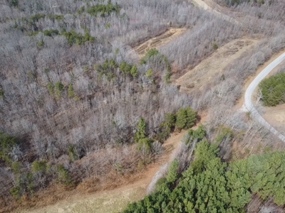 White Oak Mountain Oasis: 35 Acres of Boundless Privacy - image 42