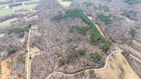 White Oak Mountain Oasis: 35 Acres of Boundless Privacy - image 3