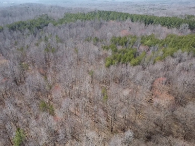 White Oak Mountain Oasis: 35 Acres of Boundless Privacy - image 39