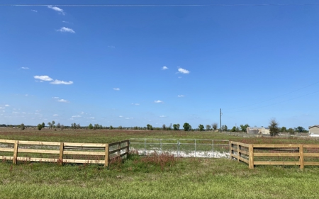Beautiful Country Setting For Your New Home In Wellborn, FL - image 4