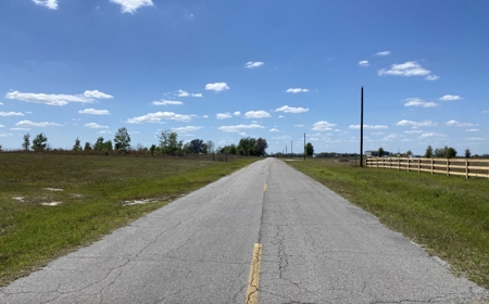 Beautiful Country Setting For Your New Home In Wellborn, FL - image 12