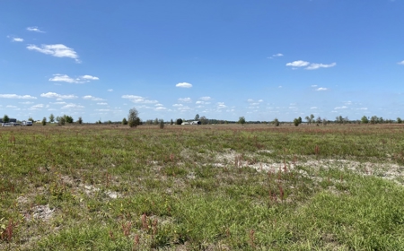 Beautiful Country Setting For Your New Home In Wellborn, FL - image 6