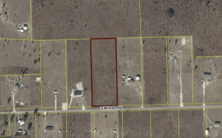 Beautiful Country Setting For Your New Home In Wellborn, FL - image 14