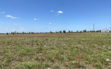 Beautiful Country Setting For Your New Home In Wellborn, FL - image 9