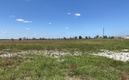 Beautiful Country Setting For Your New Home In Wellborn, FL - image 7