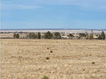 10.5 Acre Corner Lot Near Moriarty NM Owner Financing - image 1