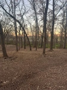 20 Timbered Acres With Custom Built Home - Cameron Mo - image 30