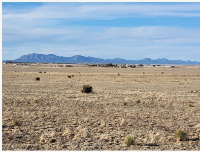 10.5 Acre Grassland Lot Near Moriarty NM with Views - image 1