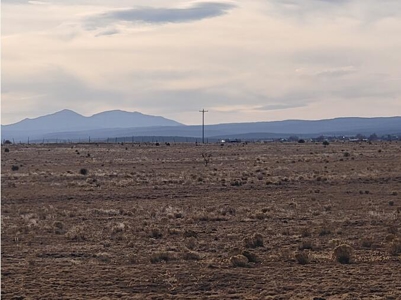10.5 Acre Grassland Lot Near Moriarty NM with Views - image 2