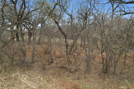 126.08 Acres for Sale on East Cache Creek - image 7