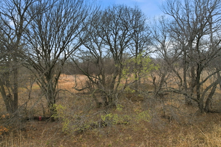 126.08 Acres for Sale on East Cache Creek - image 3