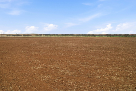 126.08 Acres for Sale on East Cache Creek - image 6