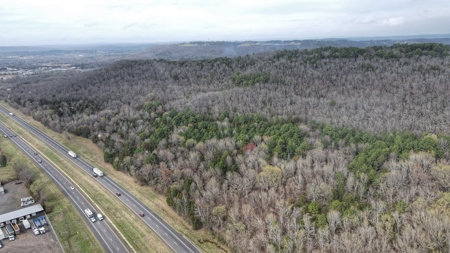 Over 20 Acres of Private Wooded Land for Sale in Russellville, AR - image 17
