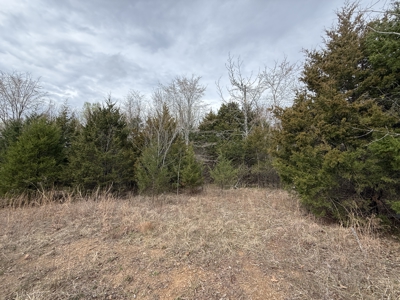 Over 20 Acres of Private Wooded Land for Sale in Russellville, AR - image 2
