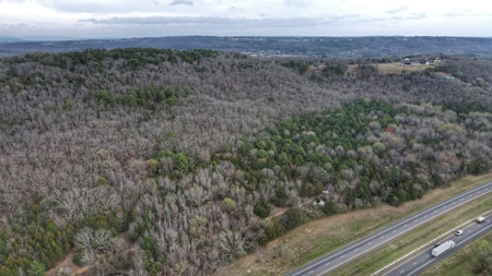 Over 20 Acres of Private Wooded Land for Sale in Russellville, AR - image 7