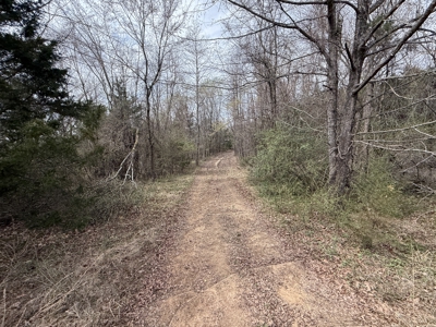 Over 20 Acres of Private Wooded Land for Sale in Russellville, AR - image 1