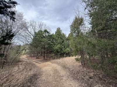 Over 20 Acres of Private Wooded Land for Sale in Russellville, AR - image 3