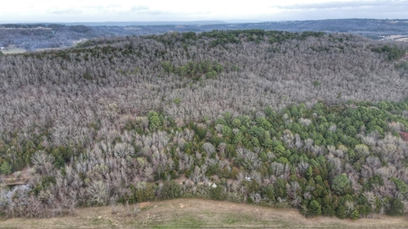 Over 20 Acres of Private Wooded Land for Sale in Russellville, AR - image 9