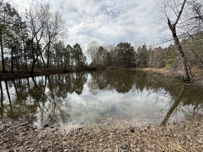 Over 20 Acres of Private Wooded Land for Sale in Russellville, AR - image 4