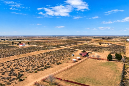 Ranch or Horse Property For Sale in Southeastern NM - image 1