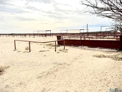 Ranch or Horse Property For Sale in Southeastern NM - image 14