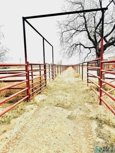 Ranch or Horse Property For Sale in Southeastern NM - image 6