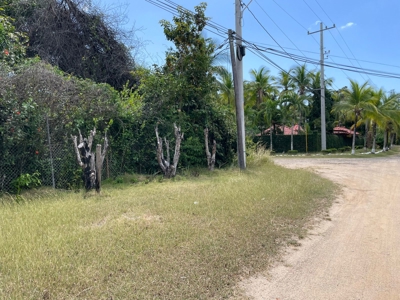 Prime Development Lot Santa Clara Beach Panama | 5,992 m² - image 7