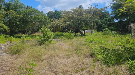 Prime Development Lot Santa Clara Beach Panama | 5,992 m² - image 11