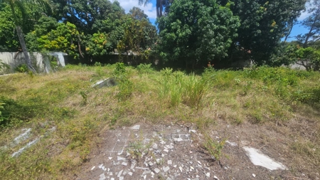 Prime Development Lot Santa Clara Beach Panama | 5,992 m² - image 14