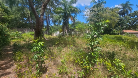 Prime Development Lot Santa Clara Beach Panama | 5,992 m² - image 10