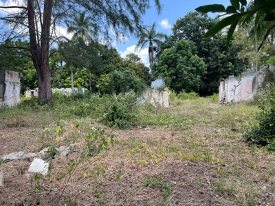 Prime Development Lot Santa Clara Beach Panama | 5,992 m² - image 4