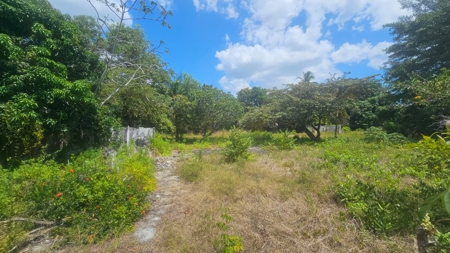 Prime Development Lot Santa Clara Beach Panama | 5,992 m² - image 13