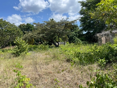 Prime Development Lot Santa Clara Beach Panama | 5,992 m² - image 5
