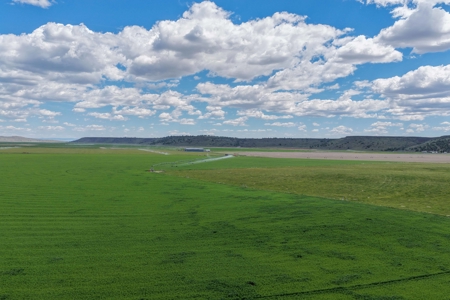 Eastern Oregon Fairview Farms Located Outside of Hines - image 10