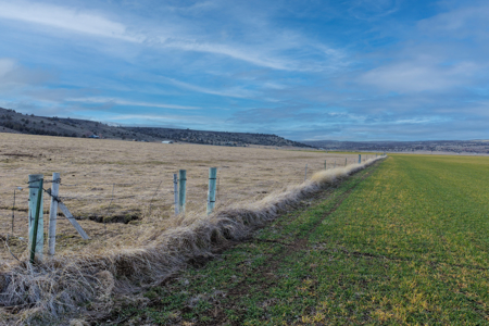 Eastern Oregon Fairview Farms Located Outside of Hines - image 49