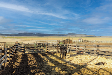Eastern Oregon Fairview Farms Located Outside of Hines - image 22