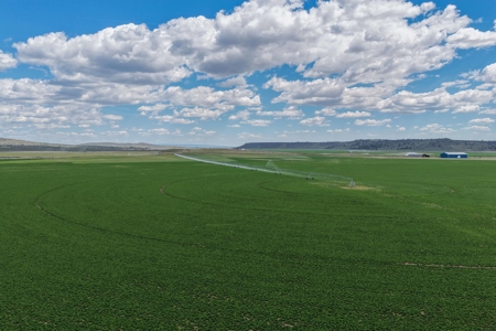 Eastern Oregon Fairview Farms Located Outside of Hines - image 6