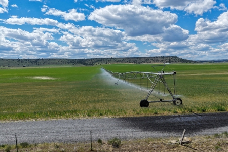 Eastern Oregon Fairview Farms Located Outside of Hines - image 29