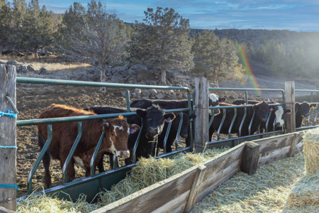 Eastern Oregon Fairview Farms Located Outside of Hines - image 16
