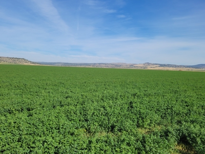 Eastern Oregon Fairview Farms Located Outside of Hines - image 1