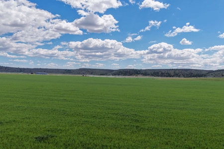 Eastern Oregon Fairview Farms Located Outside of Hines - image 9