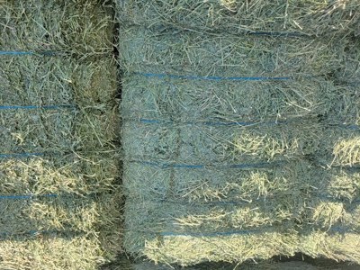 Eastern Oregon Fairview Farms Located Outside of Hines - image 25