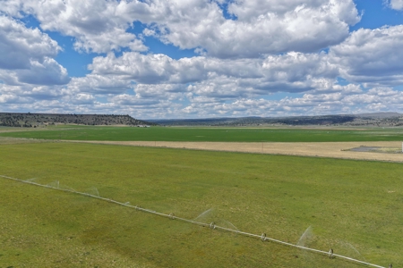 Eastern Oregon Fairview Farms Located Outside of Hines - image 26