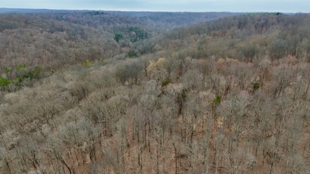 40 Wooded Acres for Sale in Crawford County, Indiana - image 15