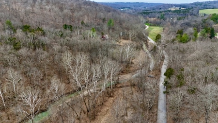 40 Wooded Acres for Sale in Crawford County, Indiana - image 10