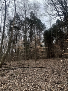 40 Wooded Acres for Sale in Crawford County, Indiana - image 26